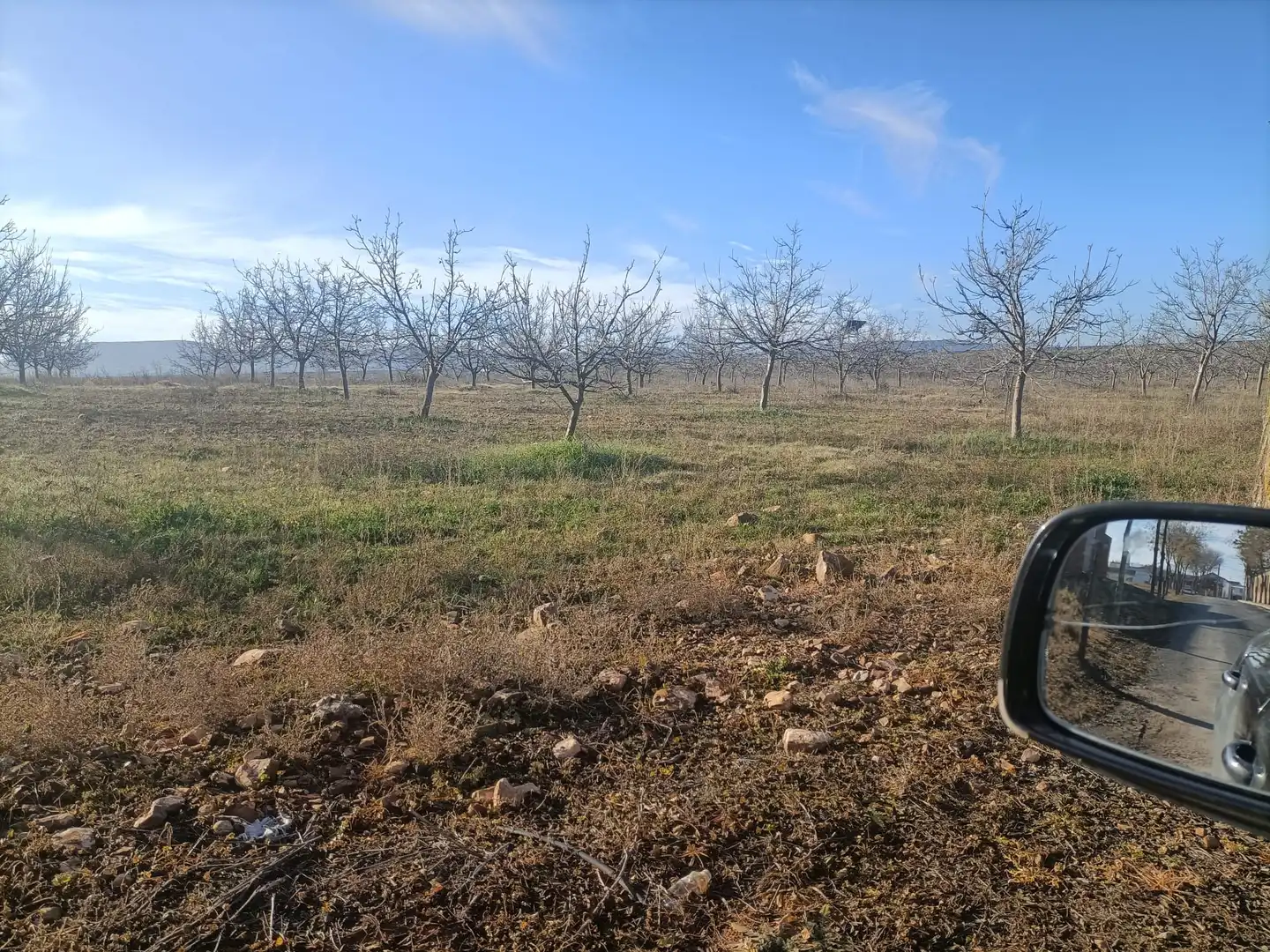 Terreno en venta en Manzaneque