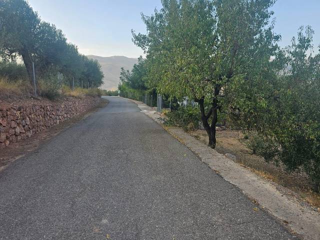 Finca rústica en Venta en  Polígono 9 Parcela 3 ALBERZAL. FONDON (ALMERÍA), 9 en Fondón