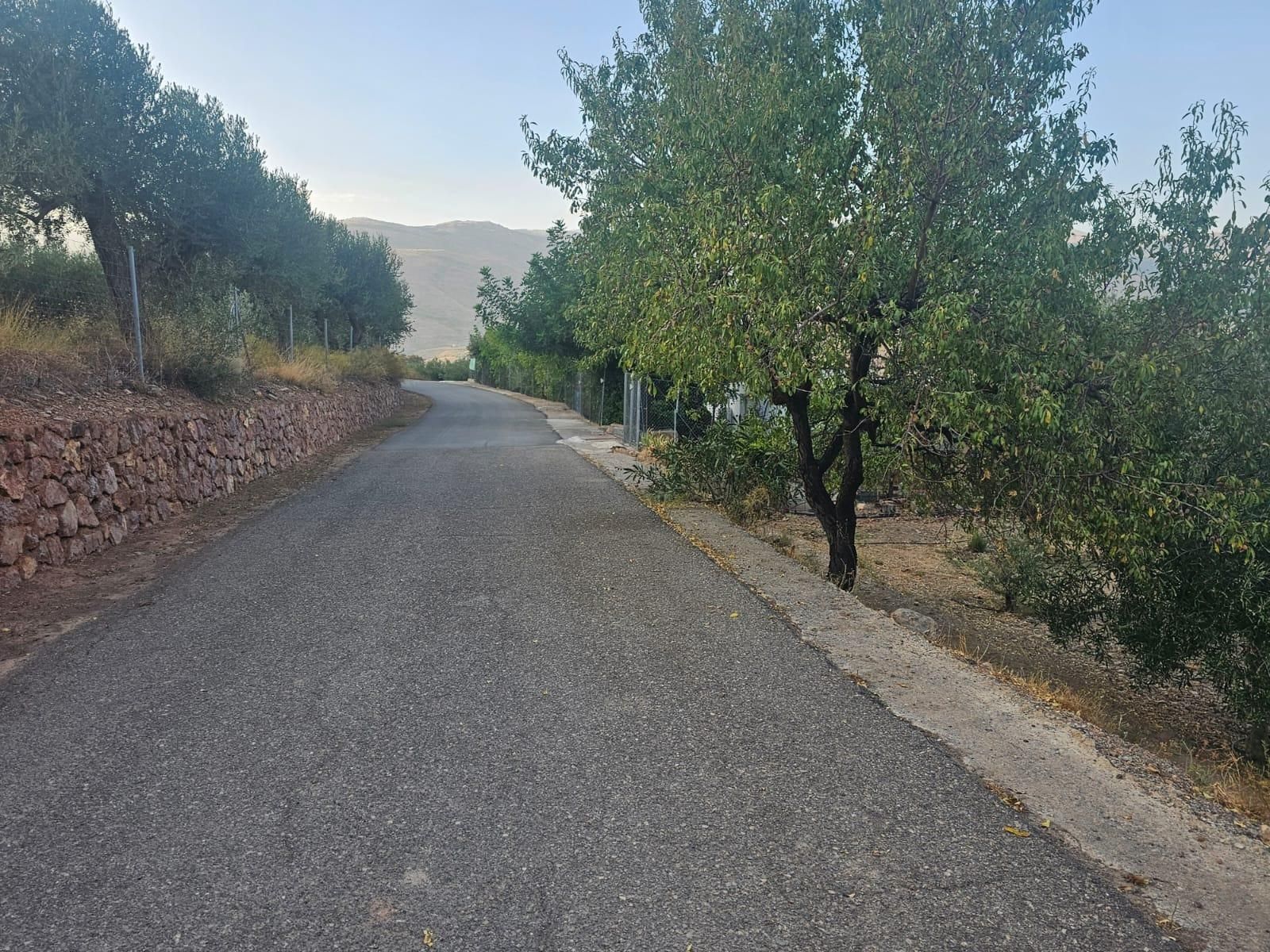 Finca rústica en venta en Fondón