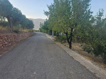 Casa rústica en venta en Polígono 9 Parcela 3 ALBERZAL. FONDON (ALMERÍA) 9