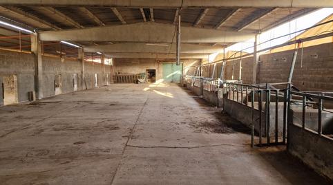 Foto 3 de Terreny en venda a L'Albagés, Lleida