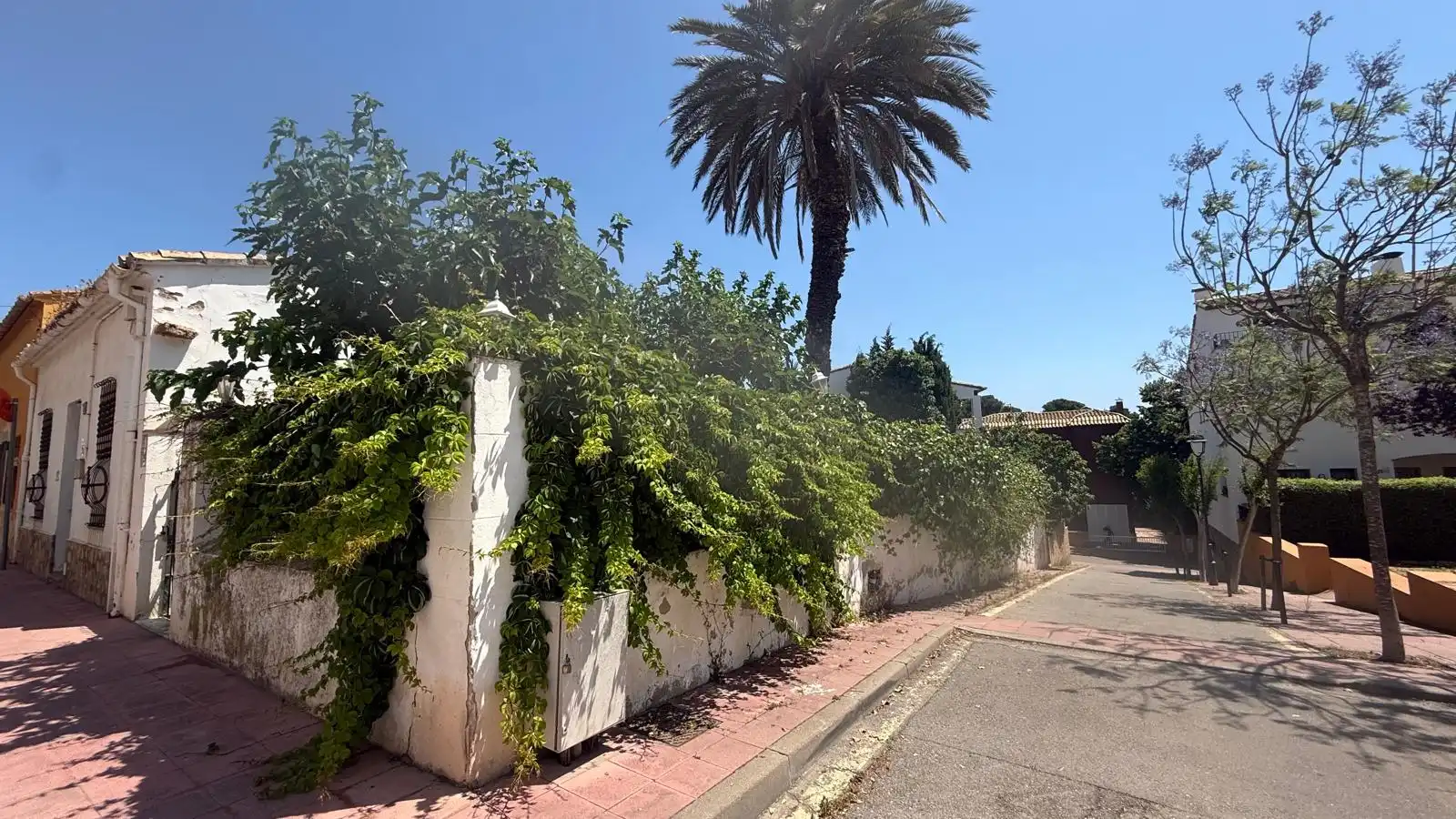 Vista exterior de Casa o xalet en venda en Palafrugell amb Jardí privat i Terrassa