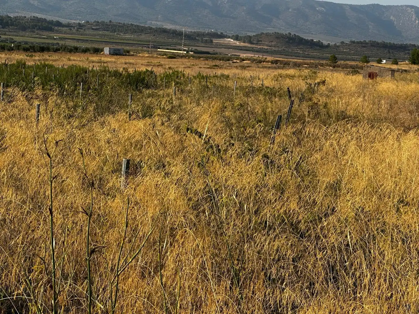 Wohnbaugrundstück zum Verkauf in El Pinós / Pinoso, imagen 9