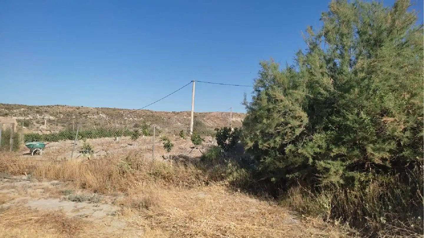 Terrain rustique à vendre à Huércal-Overa