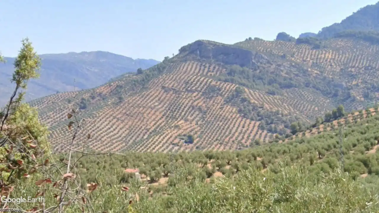Terreni e lotti in vendita a Villacarrillo
