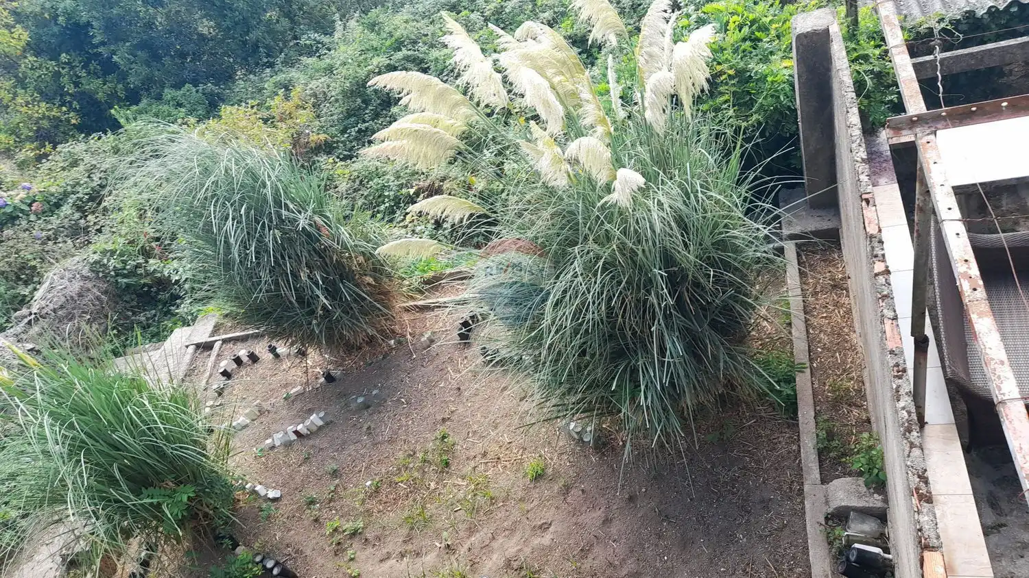 Xalet amb jardí en venda a Calle Saavedra Meneses 39, imagen 31
