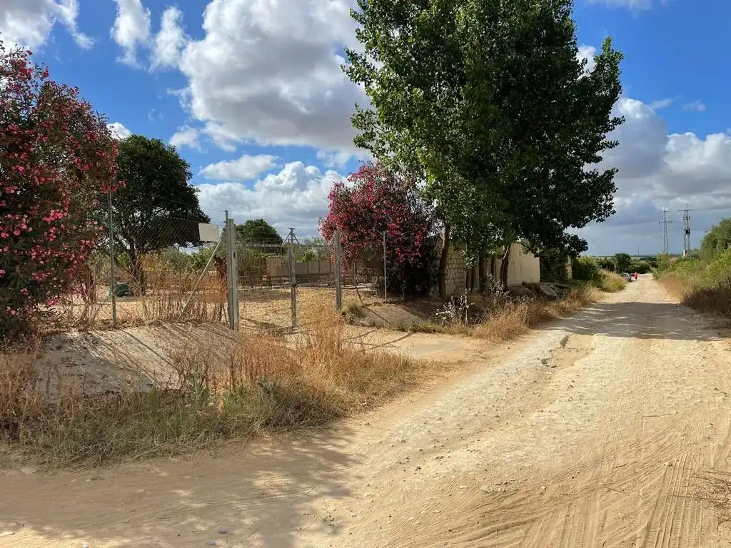 Terreny rústic en venda a Bollullos Par del Condado, imagen 4