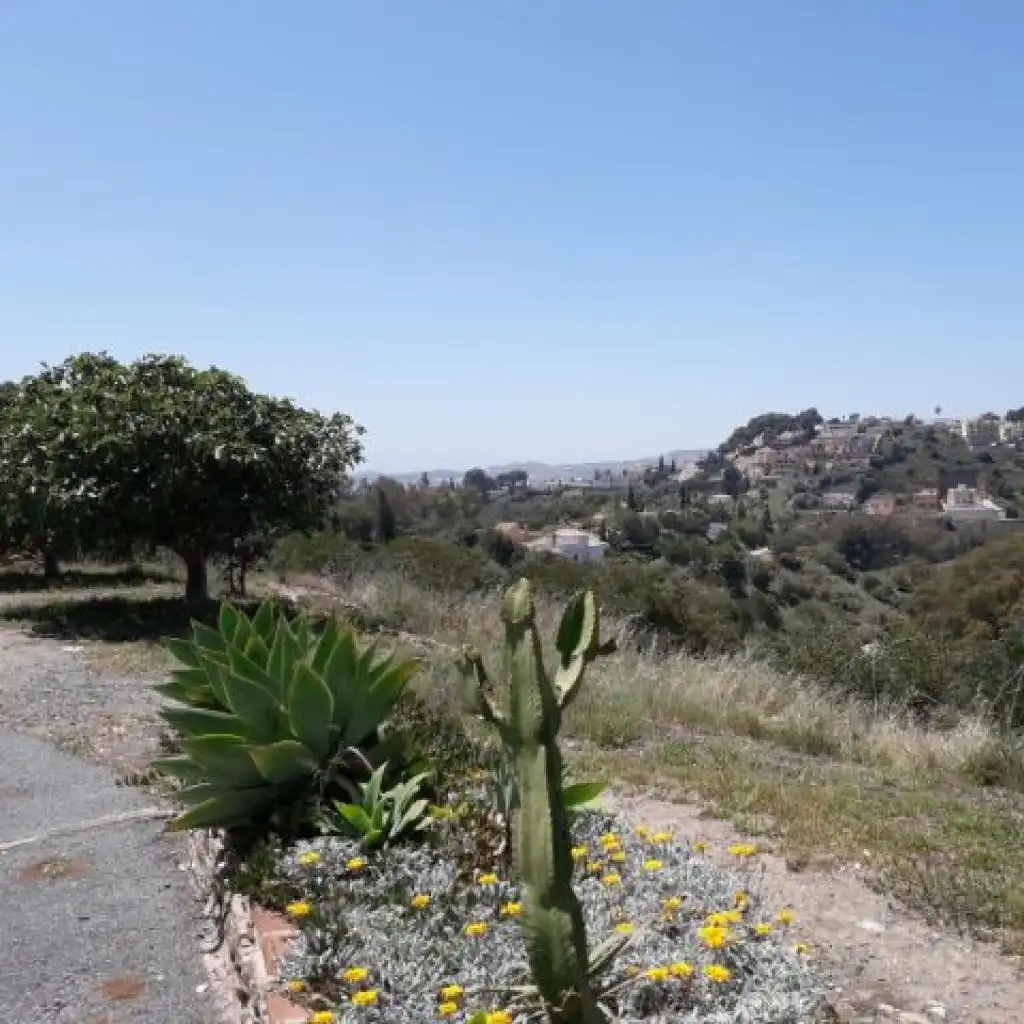 Terreni e lotti in vendita a C/ Los Paraisos - Urb Campomijas -, imagen 6