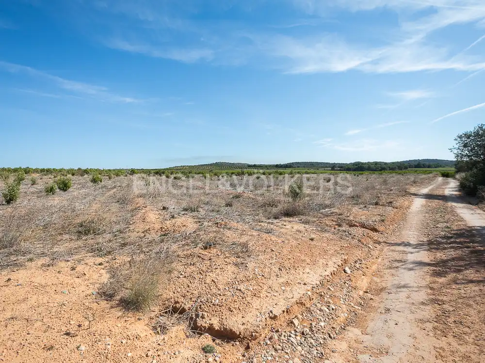 Terrenos y solares en venta en Pedralba, imagen 16