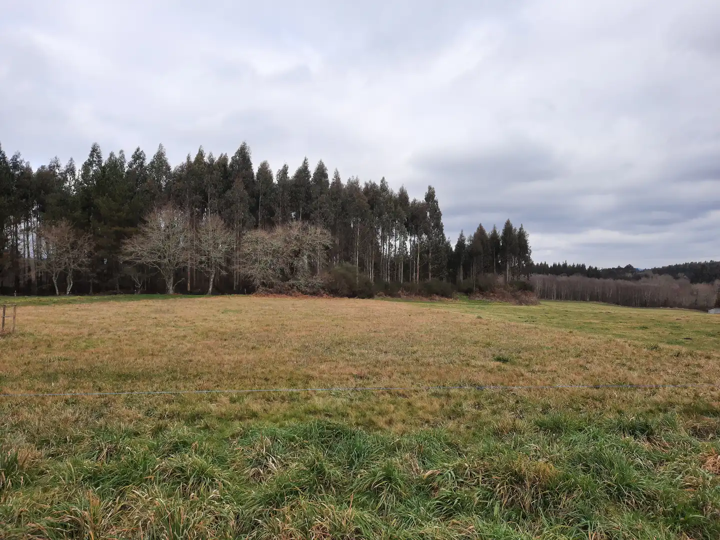 Wohnbaugrundstück zum Verkauf in Curtis, imagen 3