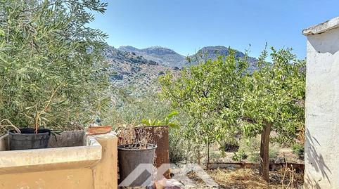 Foto 3 de Finca rústica en venda a N/a, Comares, Málaga