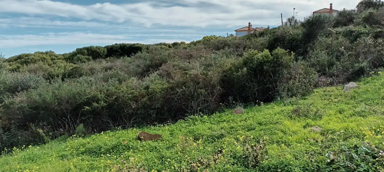 Terrenys i solars en venda a El Zabal - Santa Margarita, imagen 4