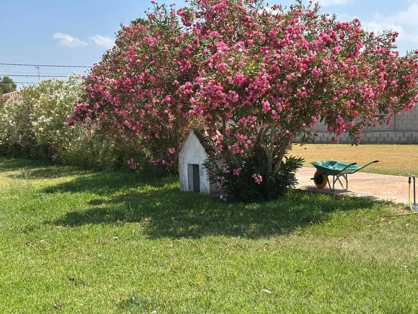 Garden of Houses for sale in Chiclana de la Frontera  with Air Conditioner, Terrace and Storage room