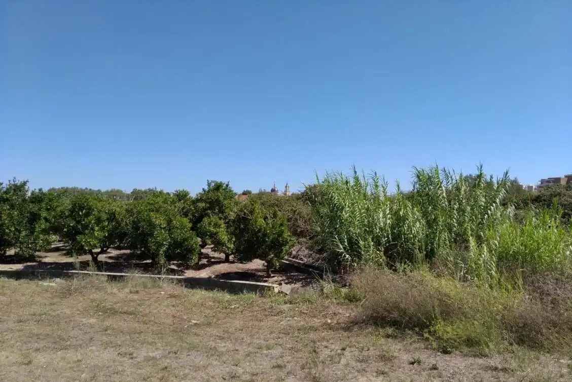 Residential land for sale in Sueca ciudad, imagen 4