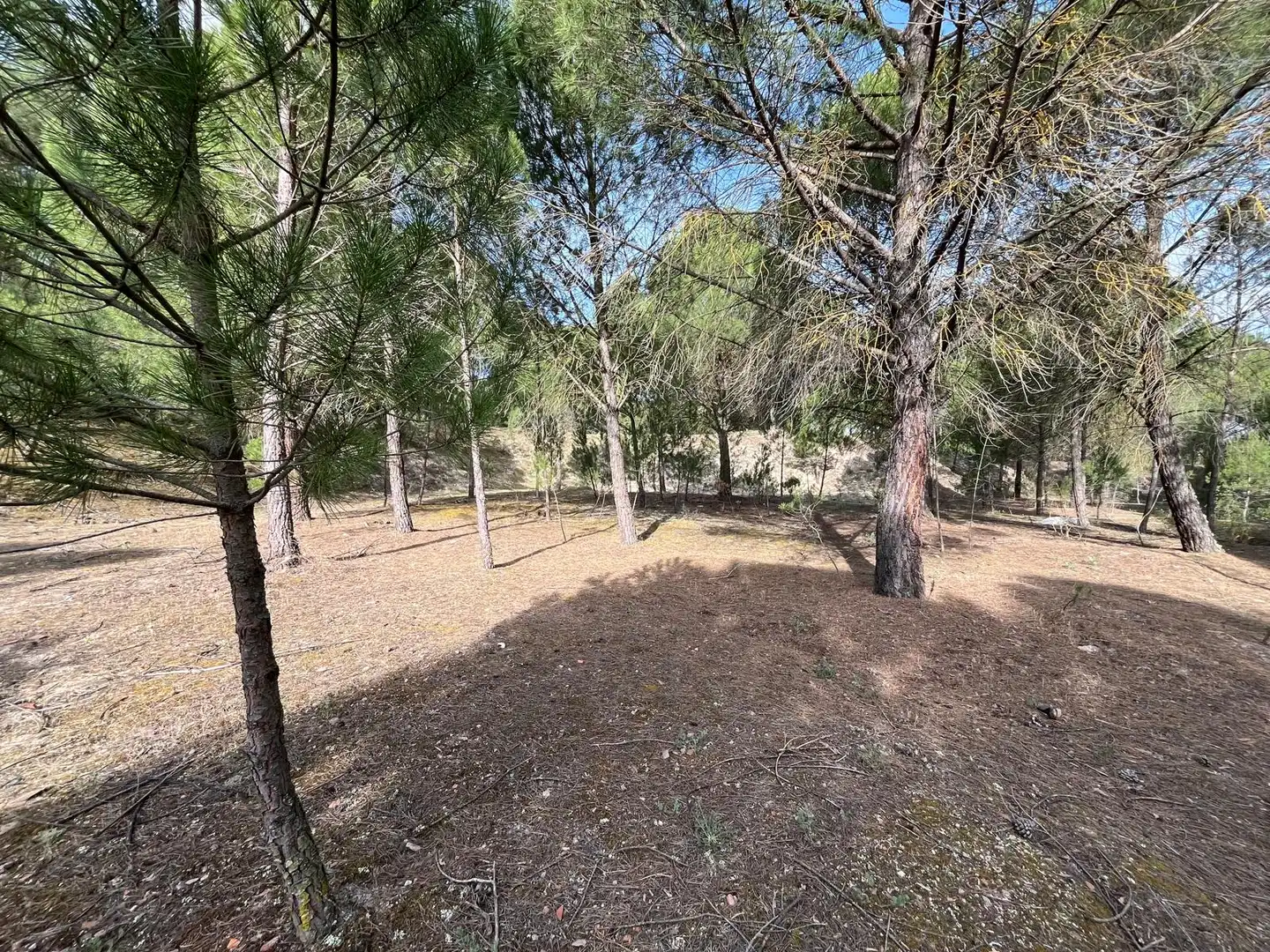 Terreno en venta en Tudela de Duero