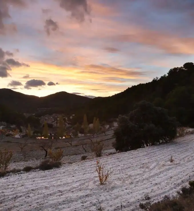 Rural land for sale in Torremanzanas / La Torre de les Maçanes, imagen 6