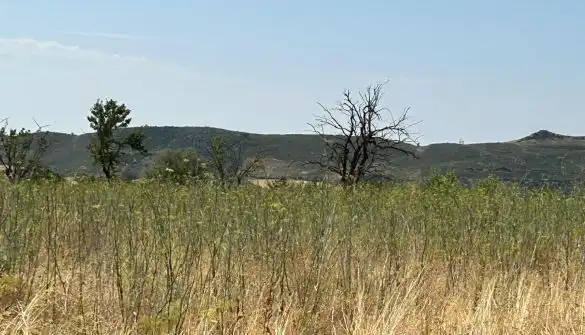 Rural land for sale in Polígono  Saratsua  polígono, imagen 22