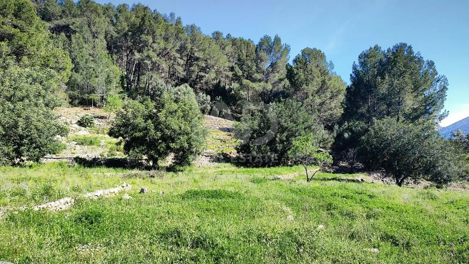 Residential for sale in Murla