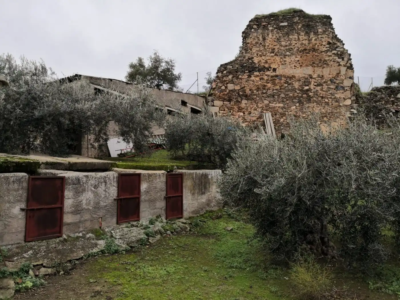 Vista exterior de Finca rústica en venta en Belalcázar