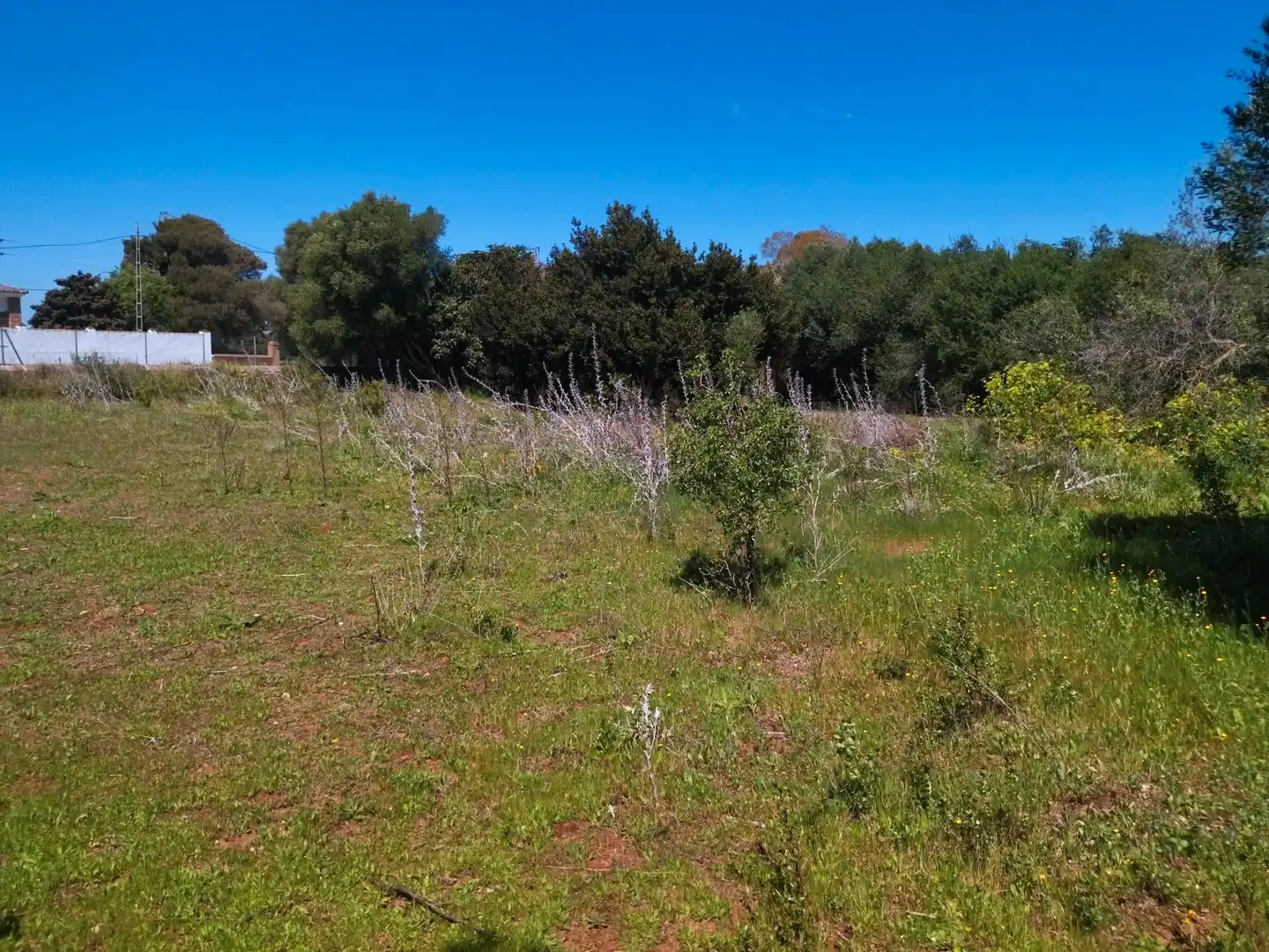 Casa rústica amb jardí en venda a N/A, imagen 12