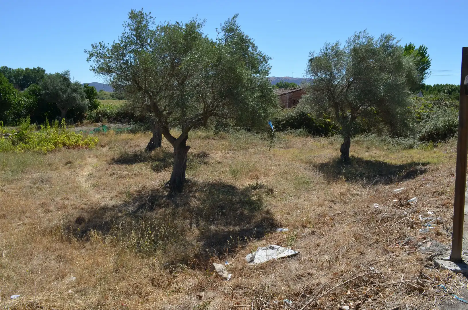 Terreni e lotti in vendita a Carcaboso, imagen 4