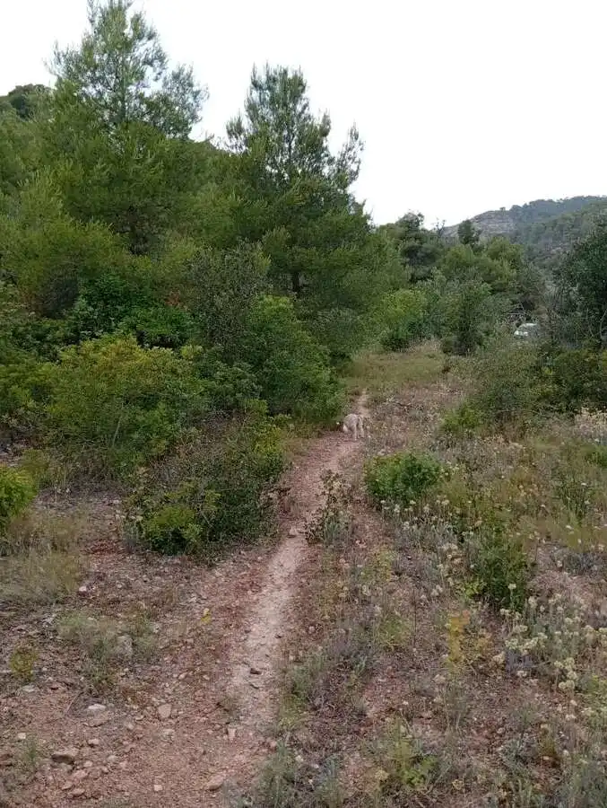 Piso en venta en Corbera d'Ebre, imagen 11