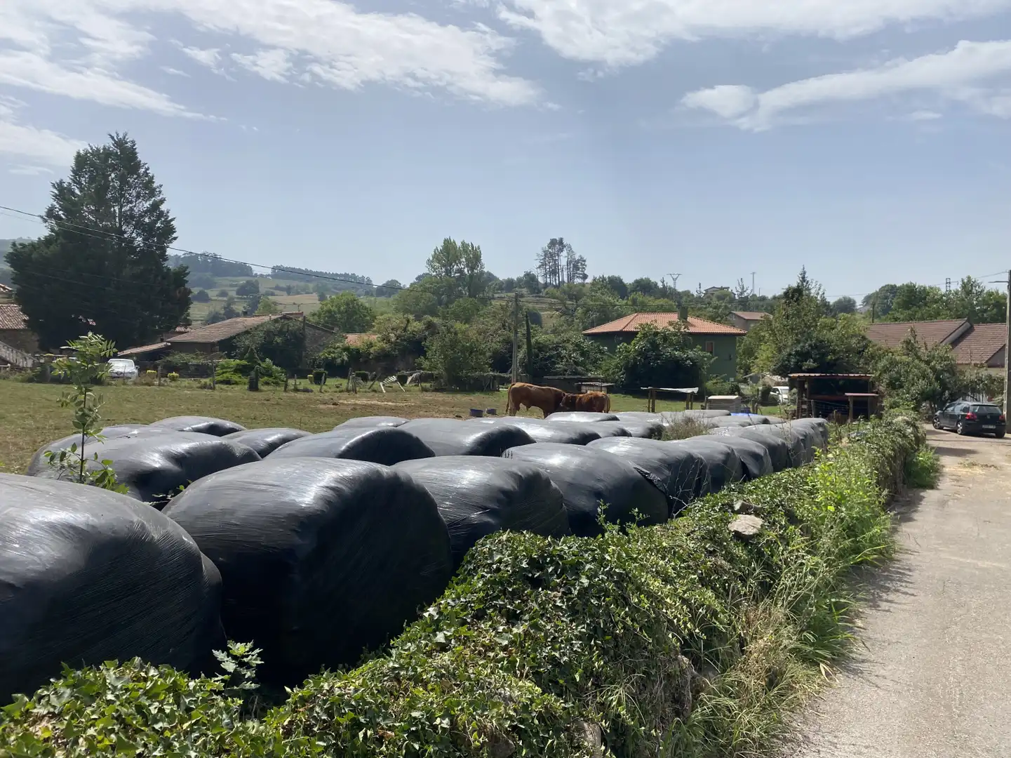 Terreno rustico in vendita a San Juán de Raicedo - SAN JUAN DE RAICEDO 2, imagen 4