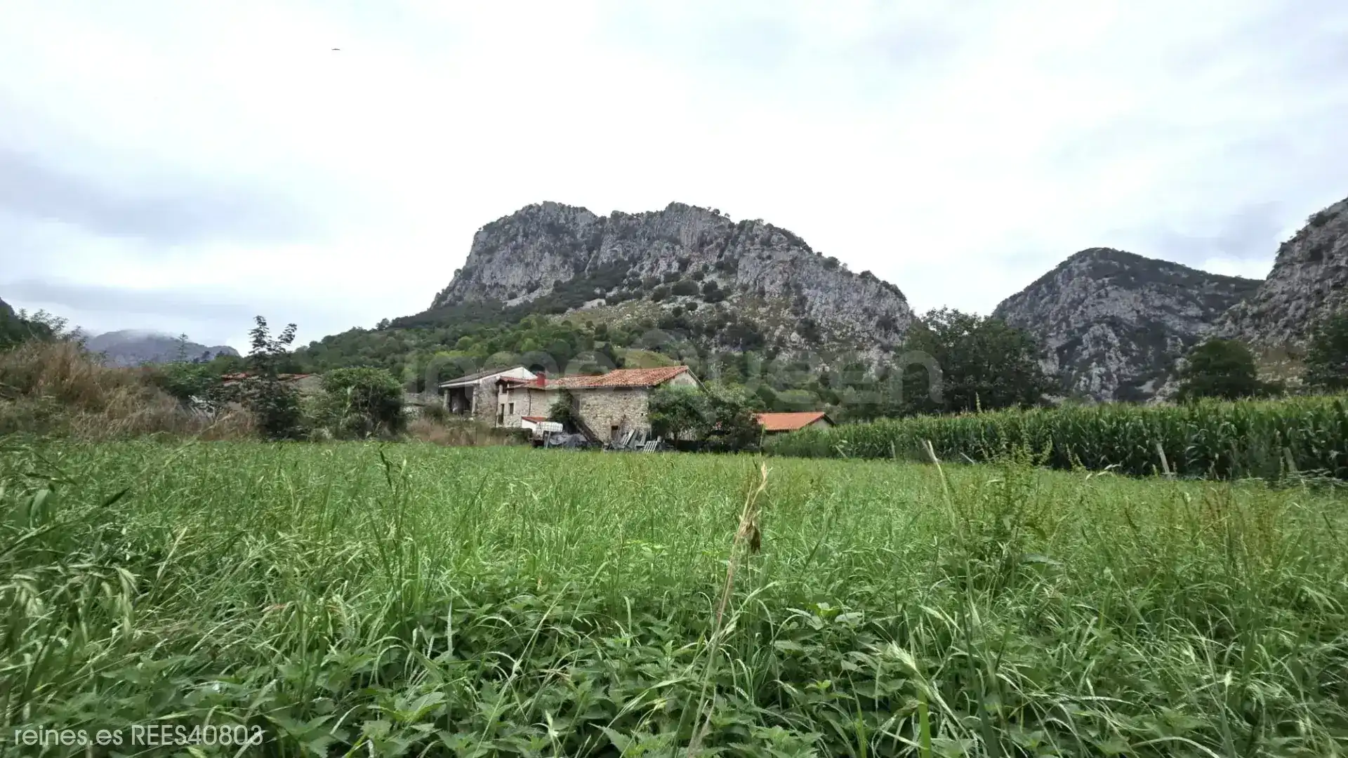 Finca rústica en venda en Peñamellera Alta amb Jardí privat