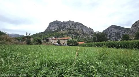 Foto 2 de Finca rústica en venda a N/a, Peñamellera Alta, Asturias