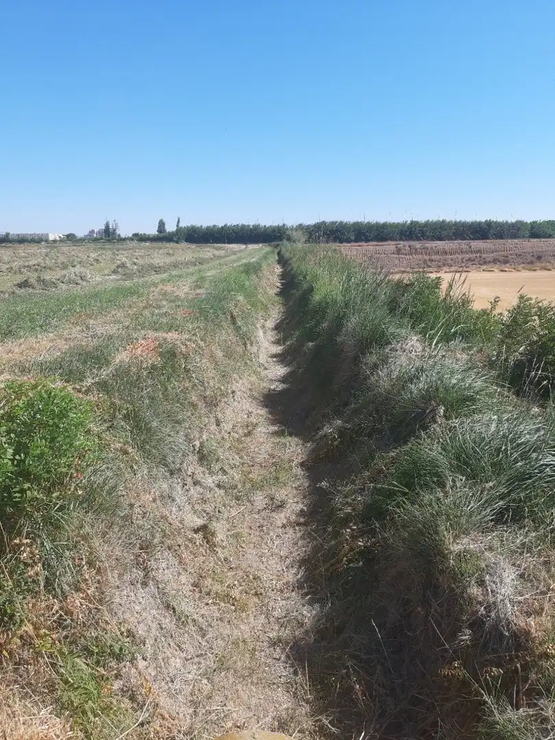 Grundstücke zum Verkauf in Zaragoza