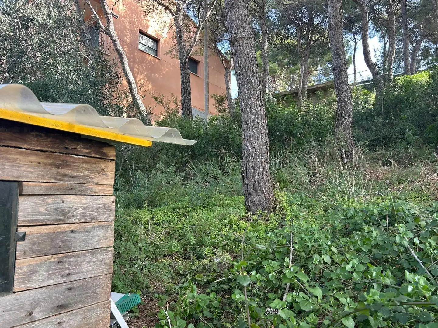 Lands and plots for sale in Segur de Calafell, imagen 10