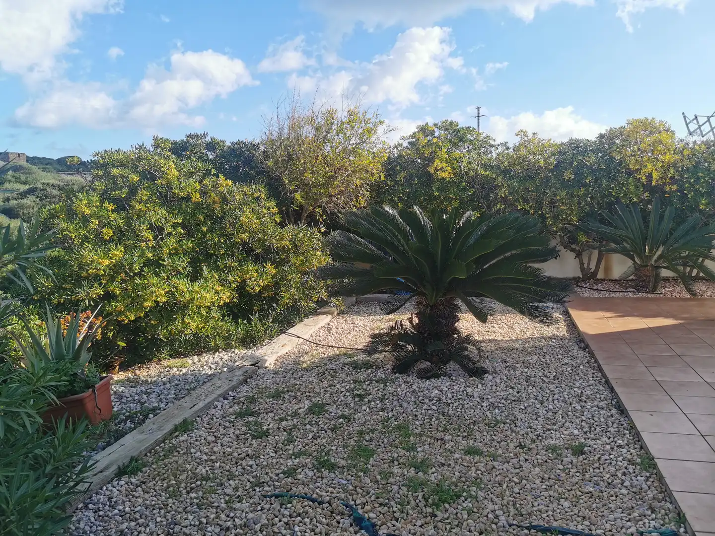 Xalet amb piscina en venda a Cala Llonga - Sa Mesquida, imagen 15