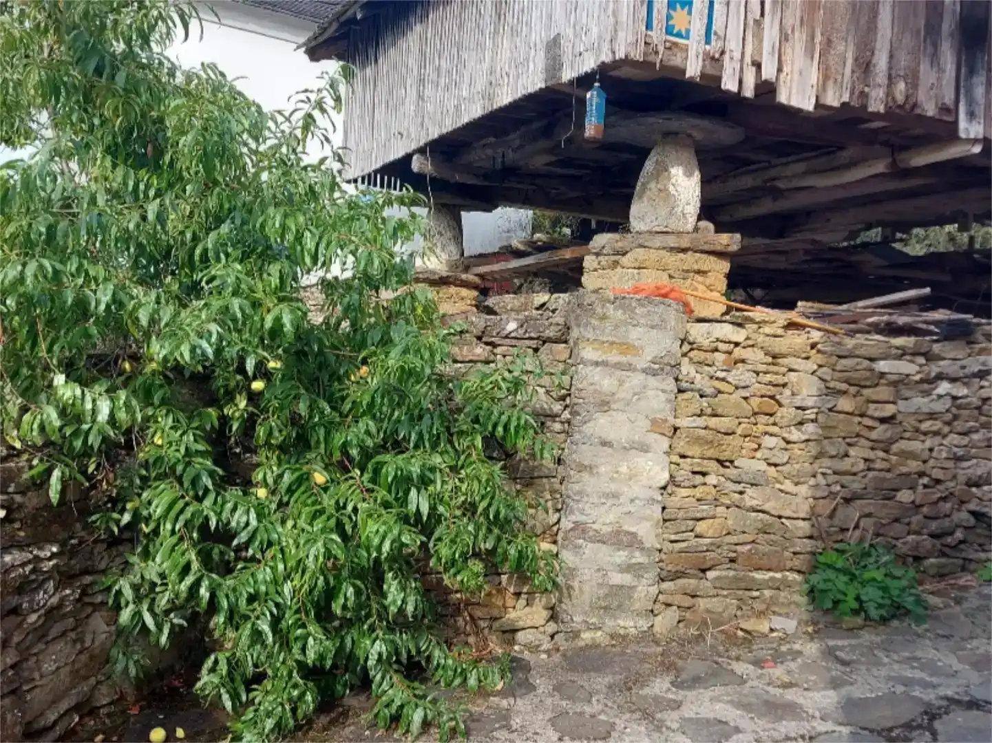 Vista exterior de Casa o xalet en venda en Boal