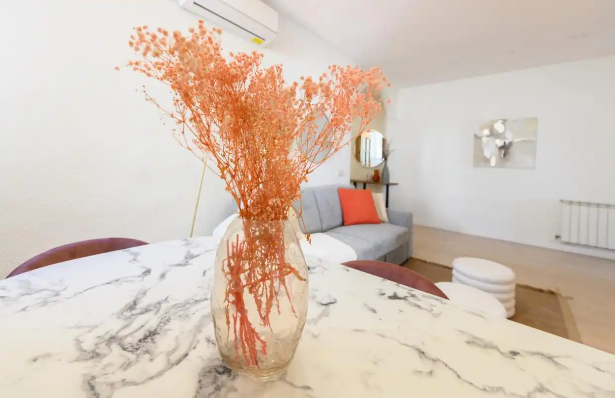 Sala d'estar de Àtic de lloguer en Madrid amb Aire condicionat, Calefacció i Parquet