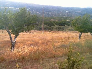 Terrain rustique à vendre à Miralvalle - Av. Virgen del Puerto - La Data