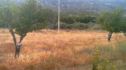 Terreno en venta en CARRETERA DEL VALLE  NACIONAL 110   Plasencia Cáceres
