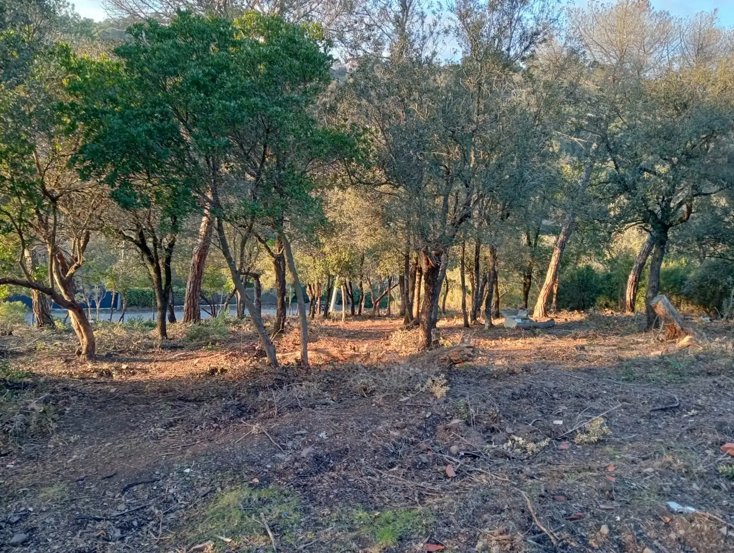 Terreny residencial en venda a Vacarisses, imagen 6