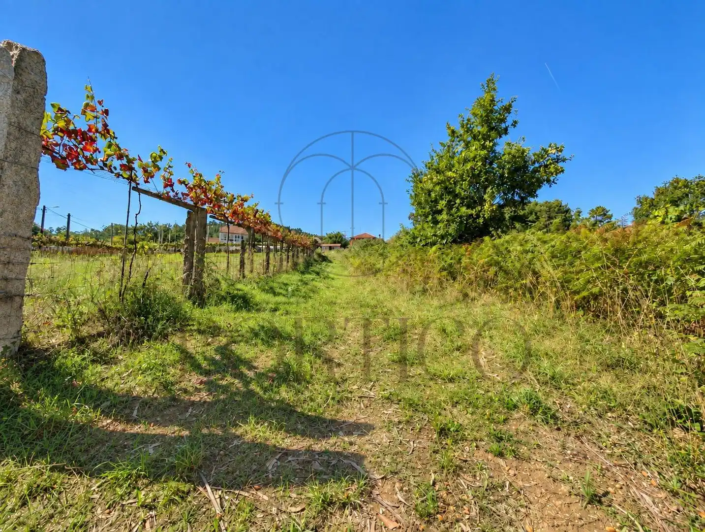 Residential land for sale in Salceda de Caselas, imagen 6