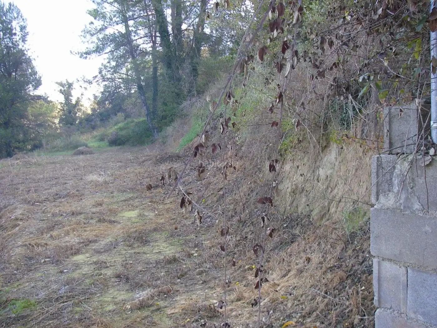 Residential land for sale in Carrer Riera Claret 3, imagen 19