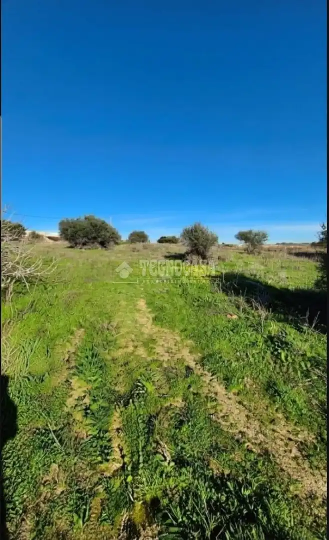 Rural land for sale in Conil