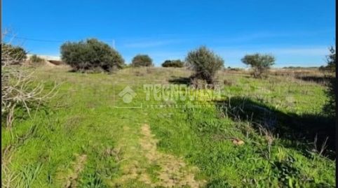 Terrenos en venta en Conil de la frontera