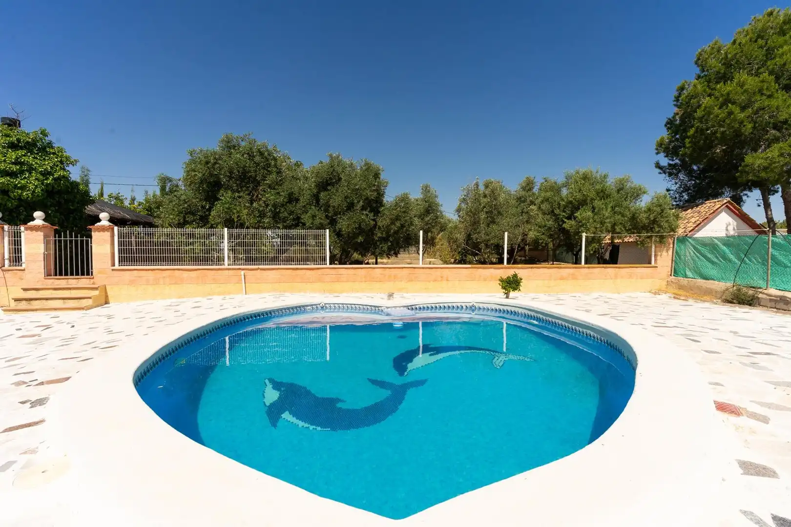 Piscina de Casa o chalet en venta en Molina de Segura con Aire acondicionado, Calefacción y Terraza