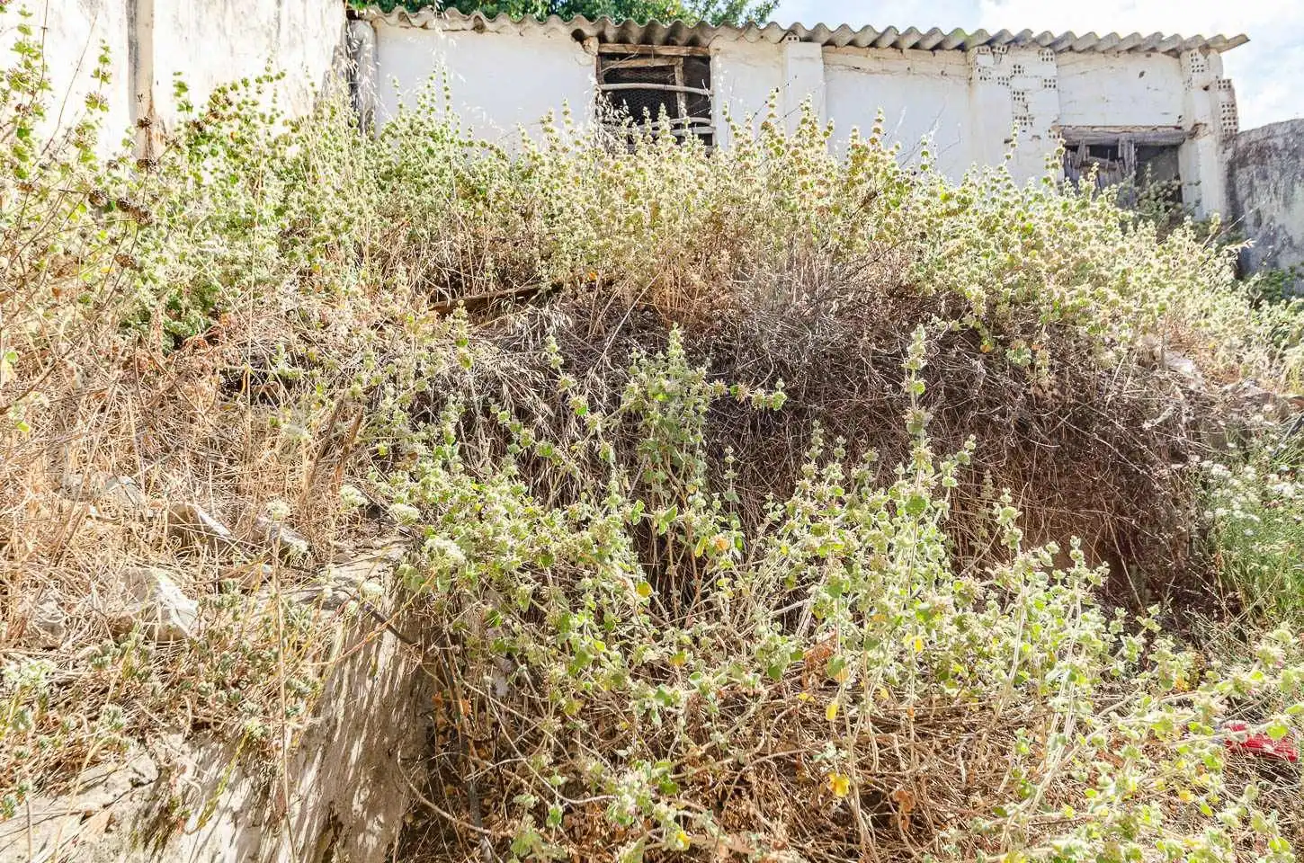 Maison avec jardin à vendre à Cómpeta, imagen 17