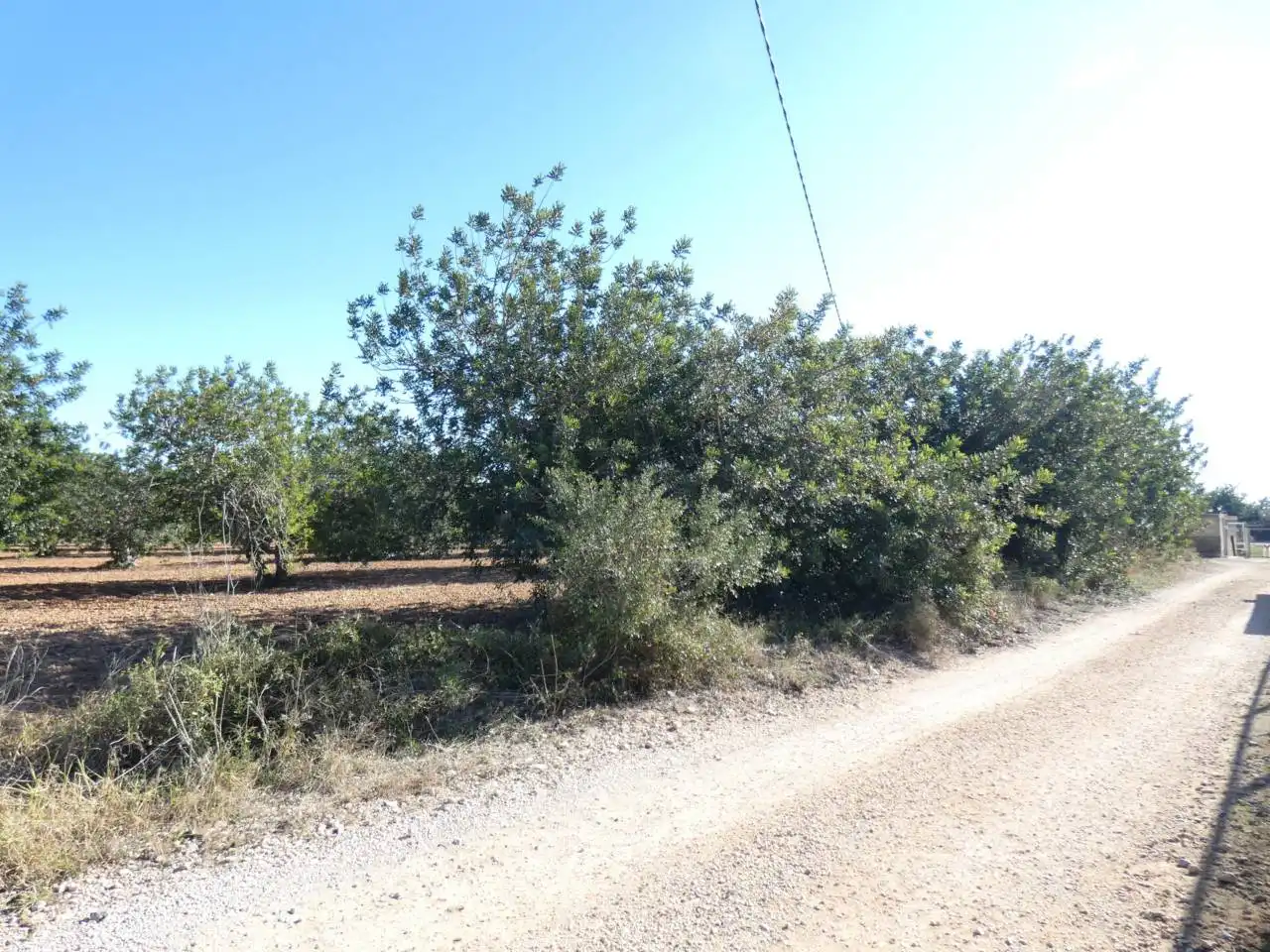 Terreno rustico in vendita a Calle PARTIDA PUIG, POLIGONO 3