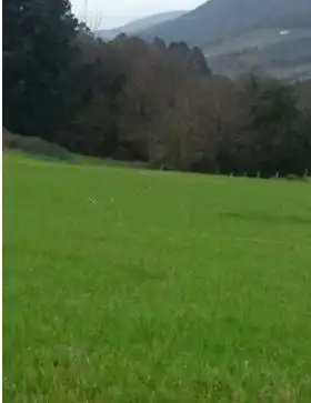 Lands and plots for sale in Allande, imagen 2