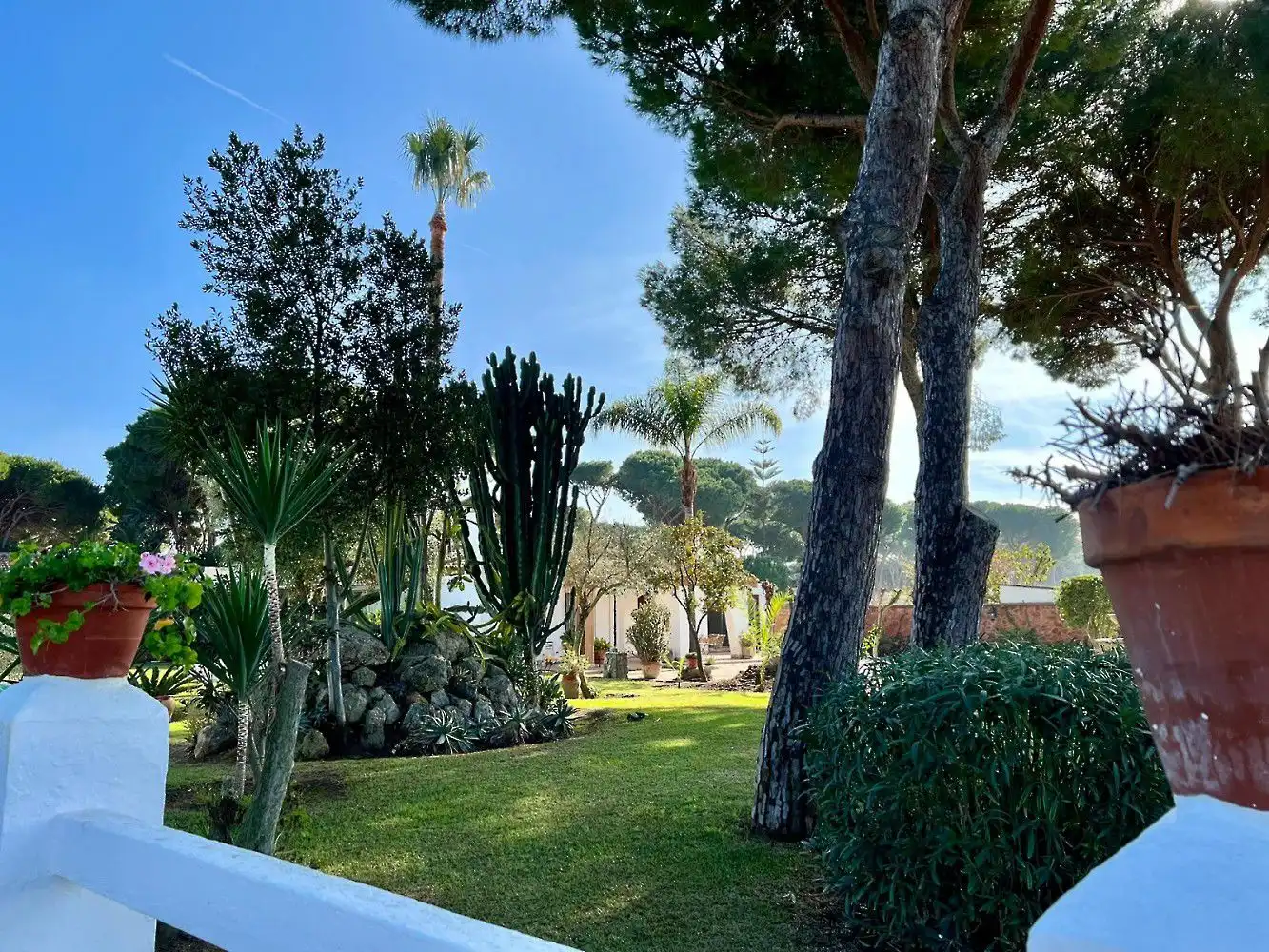 Jardín de Casa o chalet en venta en Chiclana de la Frontera con Terraza y Trastero