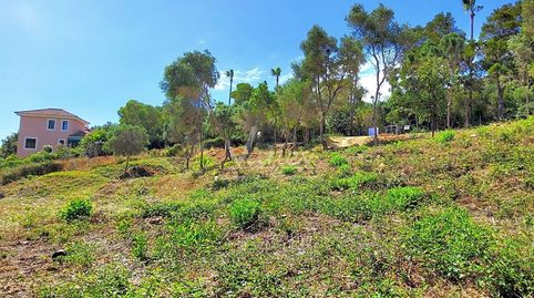 Foto 5 de Terreno en venta en Fatiga, Zona F, Sotogrande