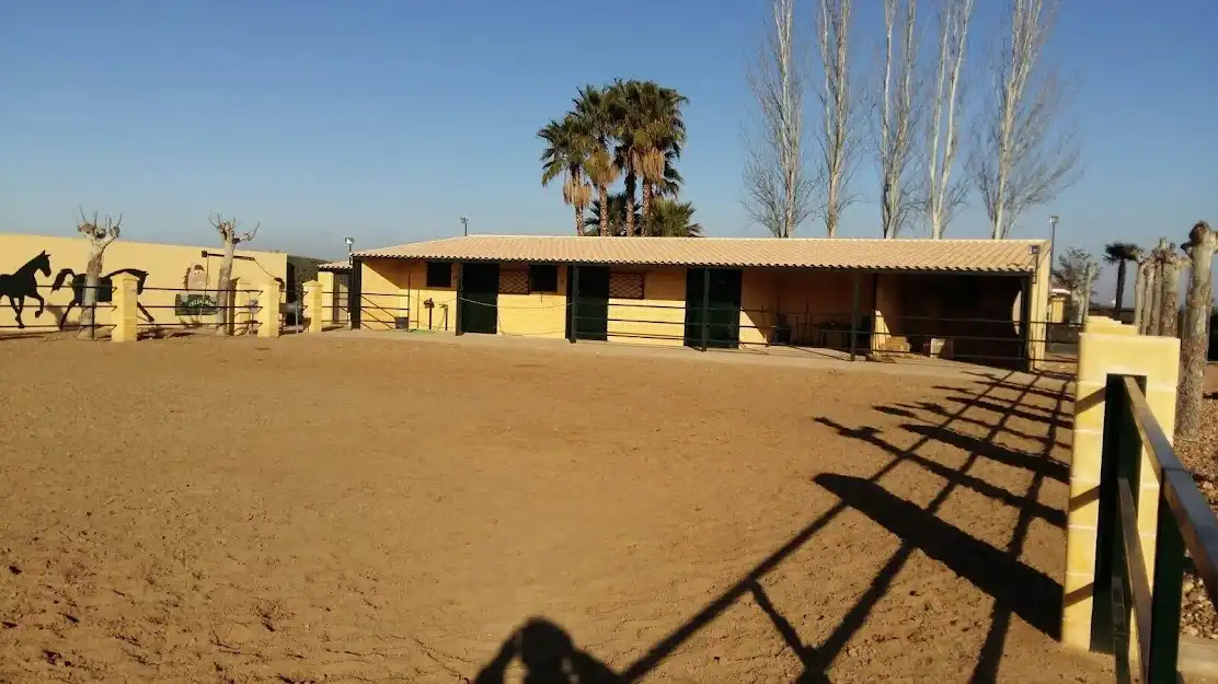 Xalet amb piscina en venda a Parque de la Constitución 5a, imagen 22
