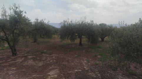 RÚSTICO VENTA DE 4 PARCELAS CONTIGUAS EN LOLLERIA, immagine 5