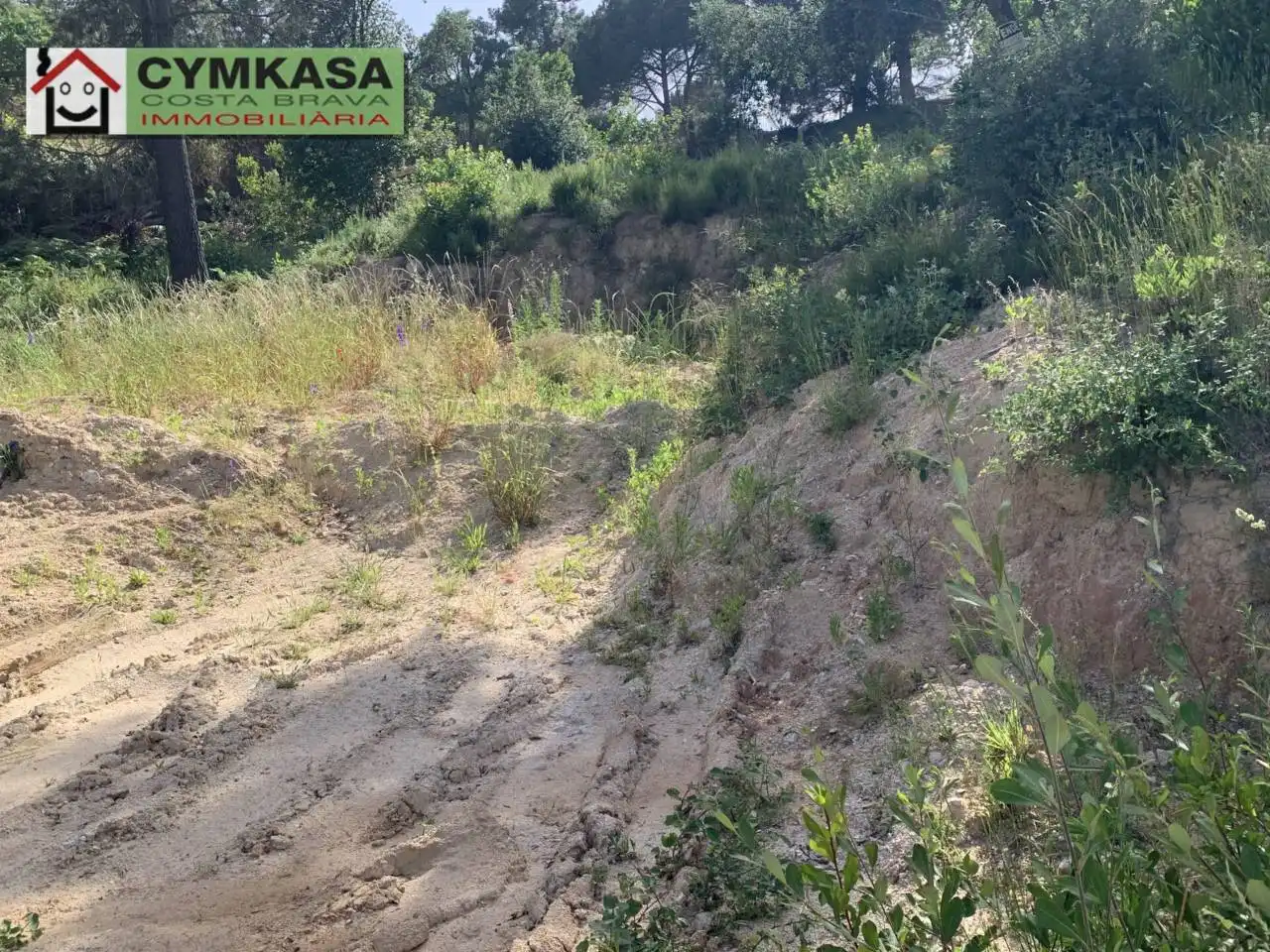 Terreno rustico in vendita a Montbarbat, imagen 3
